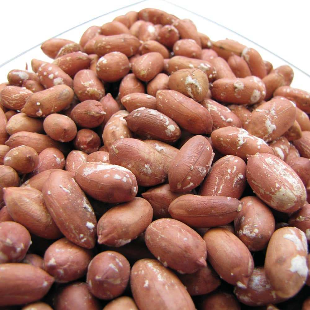 تصویر 1 از قیمت بادام زمینی استانه اشرفیه + خرید ویژه